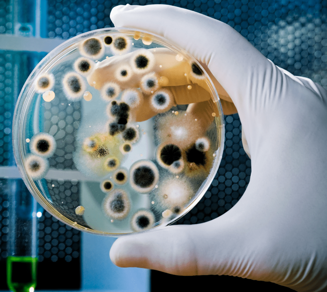 Environmental Solutions